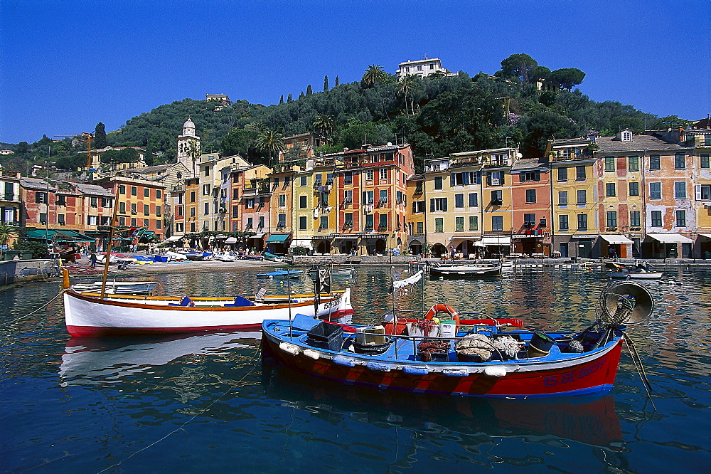 Boats at harbour under blue sky, Portofino, Liguria, Italy, Europe