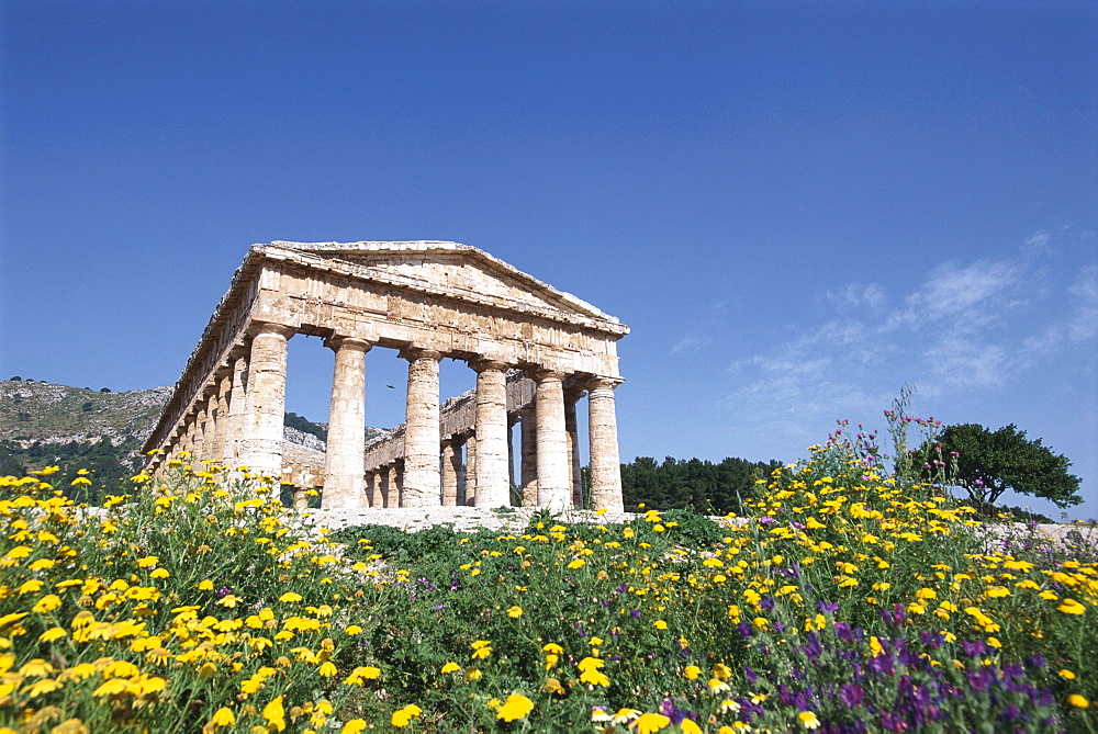 Ruins of a temple under blue sky, Segesta, Sicily, Italy, Europe