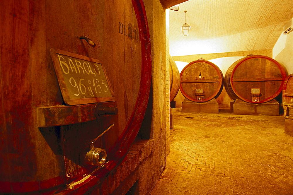 Barrels at winery Aldo Conterno, Monforte d' Alba, Piedmont, Italy, Europe