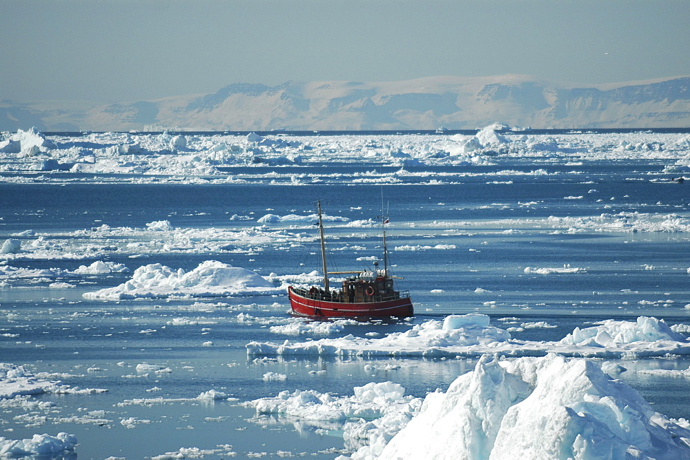 Fishing boat amongst icebergs, Ilulissat, Jakobshavn, Kaalalit Nunaat, Greenland