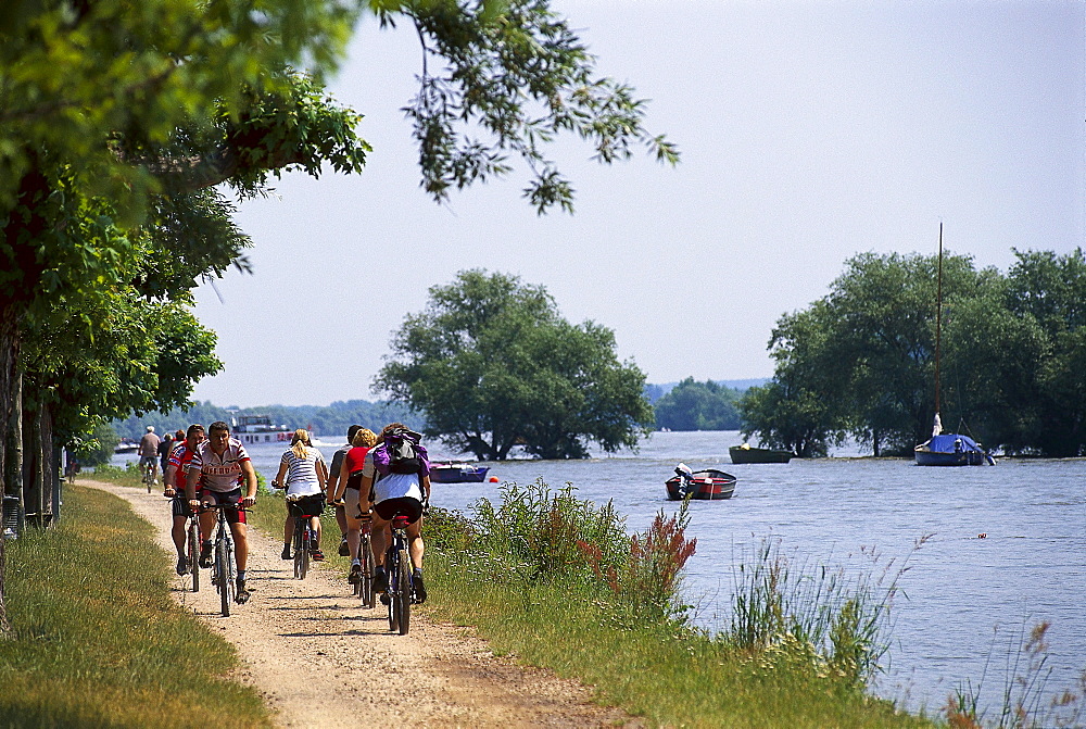 Cyclists on promenade at the river Rhein, Hesse, Germany, Europe