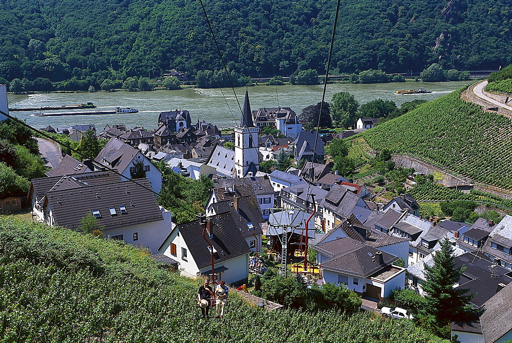 High angle view at the town of Assmannshausen, Rheingau, Hesse, Germany, Europe