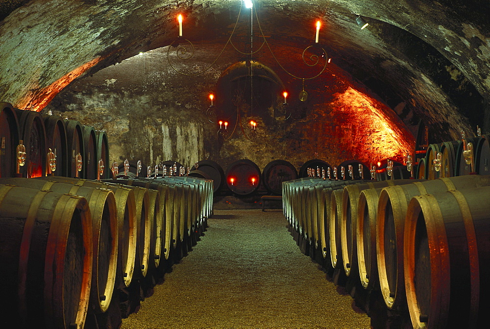 Barrels at the wine cellar of castle Johannisberg, Geisenheim, Rheingau, Hesse, Germany, Europe