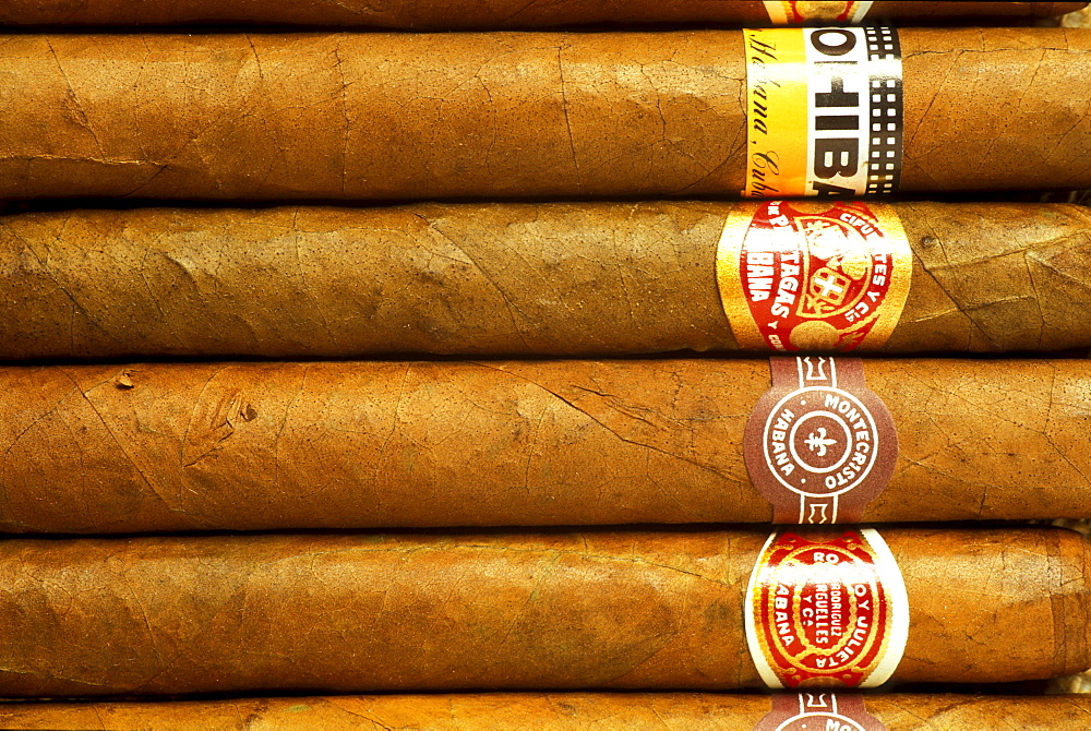 Cuban cigars, Cuba, Caribbean, America