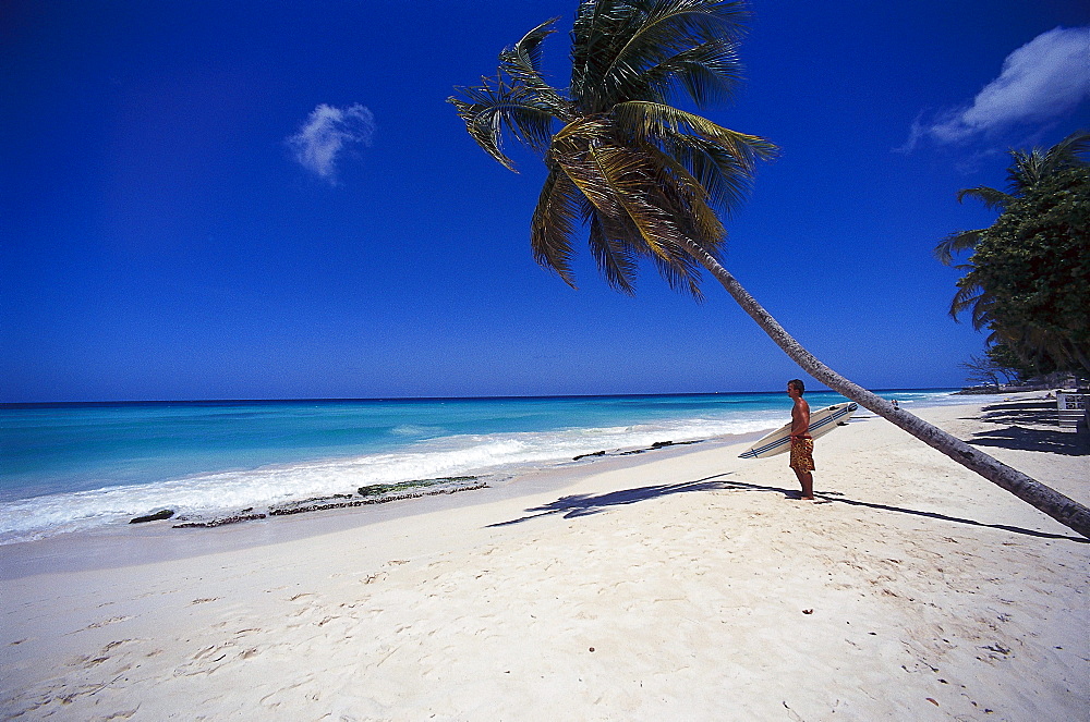 Man with surfboard standing on palm beach, Barbados, Caribbean, America