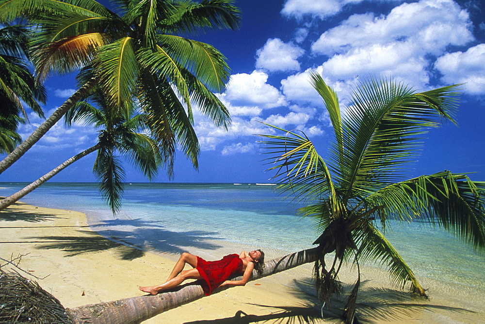 Lying woman, Palm beach, coconut palms, Dominican Republic, America