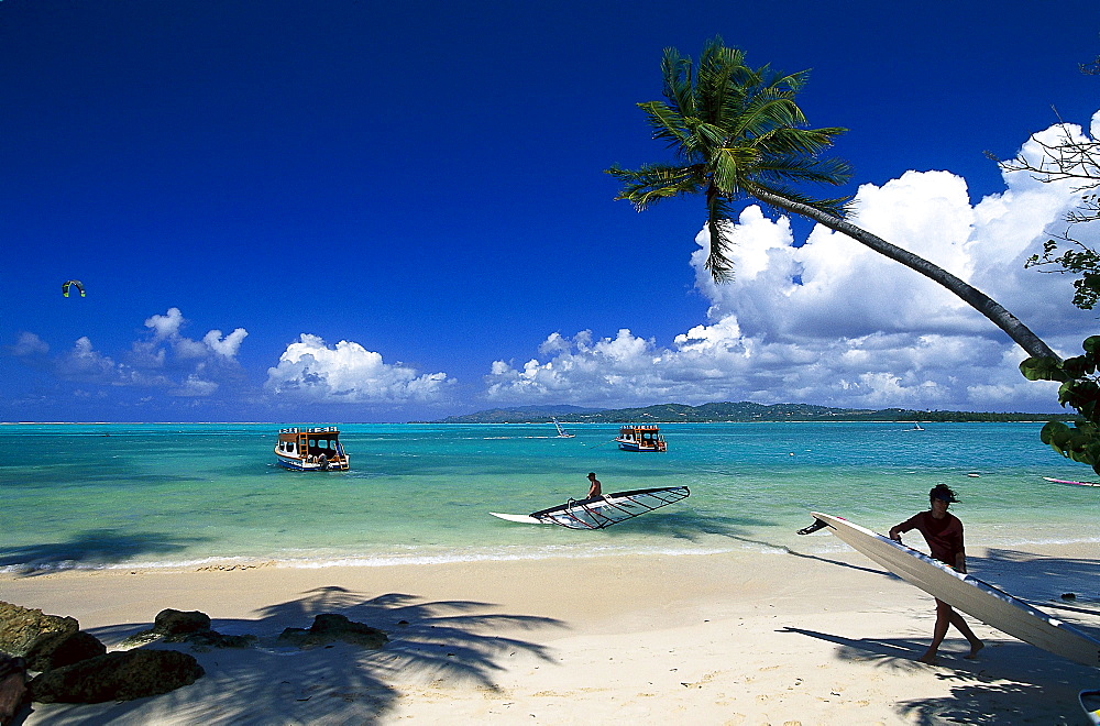 Palm beach, Coconut palms, Windsurfing, Pigeon Point, Tobago, West Indies, Caribbean