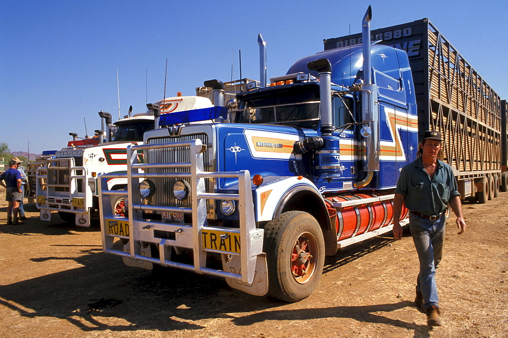 Road train, Cattle trucking, Lansdowne Station, Kimberley, Western Australia, Australia