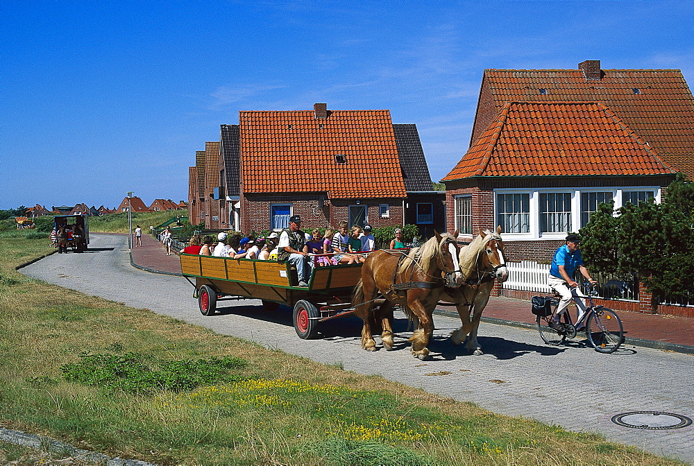 Horse-drawn carriage, Juist, East Frisian Islands, East Frisia, Lower Saxony, Germany