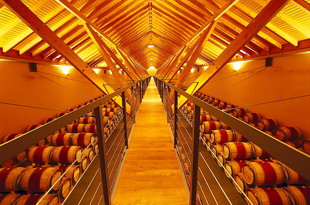 Storage room for wine barrels, Bodega Chivite, Navarra, Spain, Europe