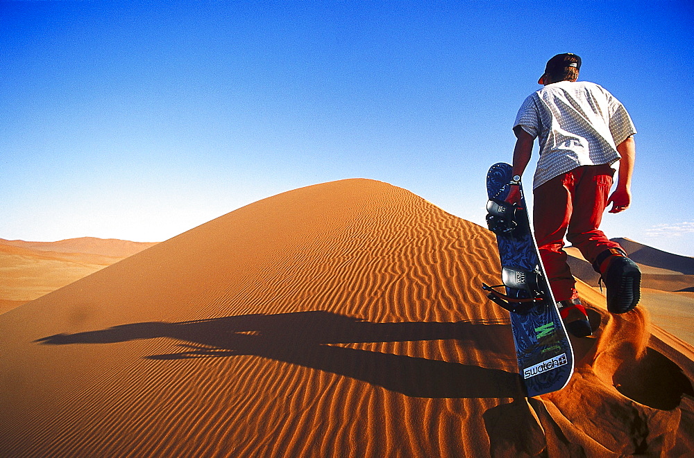 Sandboarder on a dune, Namibia, Africa