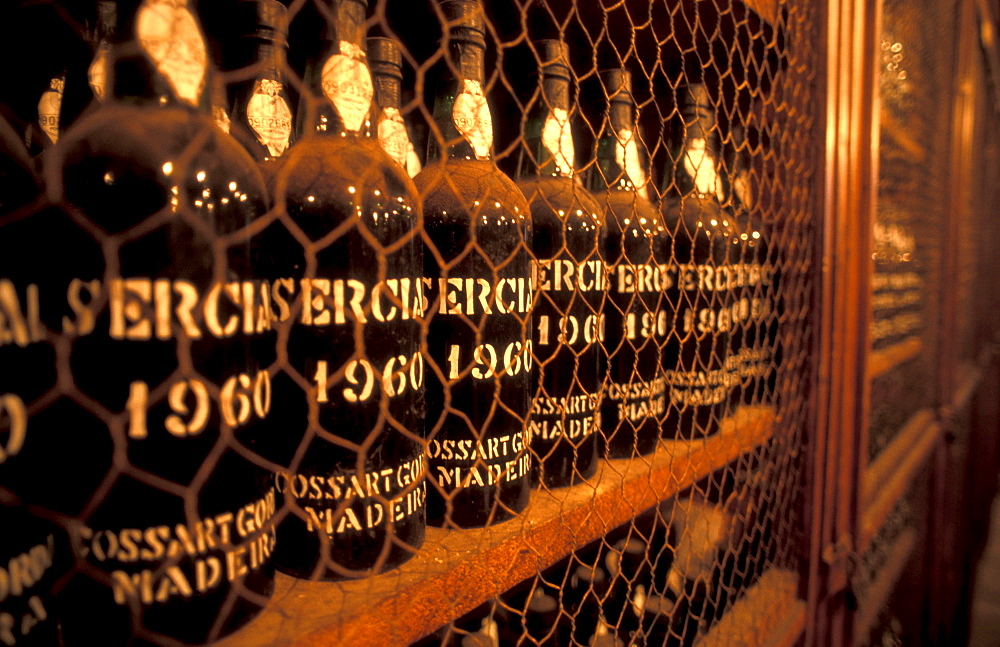 A row of wine bottles standing on a shelf, Funchal, Madeira, Portugal