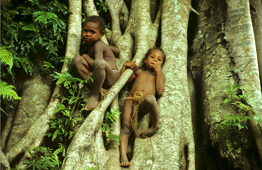 Village children climbing a tree, Yakel Village, Tanna, Vanuatu, South Pacific