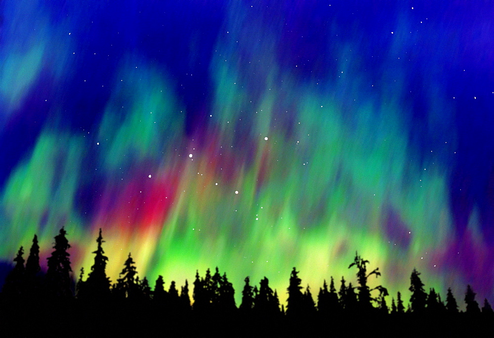 Northern lights above taiga forest, Alaska, USA, America