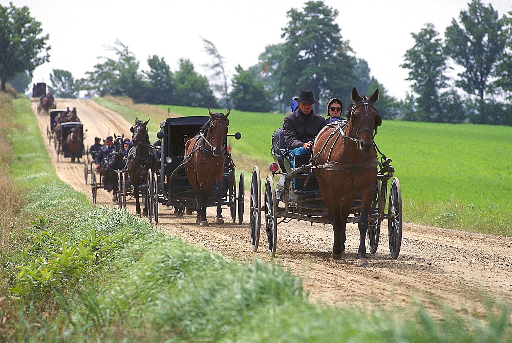 Coaches of Mennoniten, came from Worshirp, near St. Jacobs, Ontario, Canada, North America, America