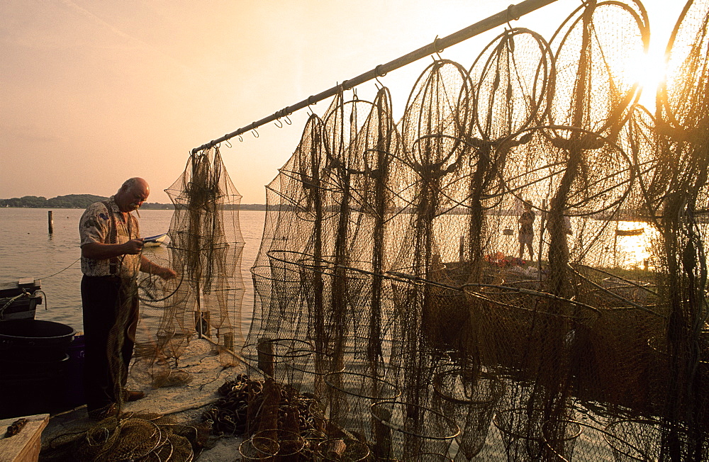 Fisherman repairing his fishing nets at harbour in the evening, Schleswig, Schleswig Holstein, Germany, Europe