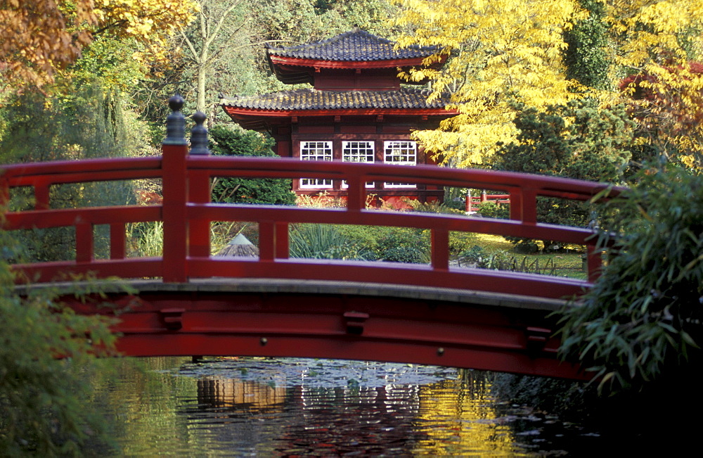 Japanese Garden, Leverkusen, North Rhine-Westfalia, Germany