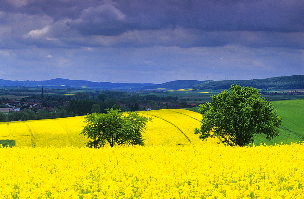 Europe, Germany, Lower Saxony, landscape near Rhueden, Harz