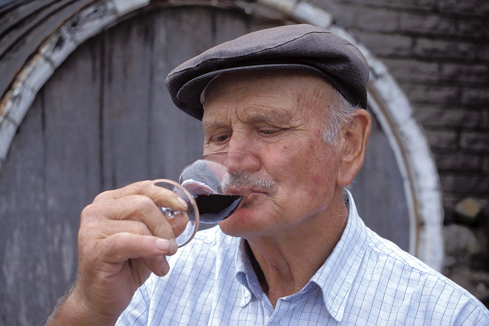 Sr. Valduga, Valduga Wineyard, Bento Goncalves Serra Gaucha, Rio Grande Do Sul Brasil