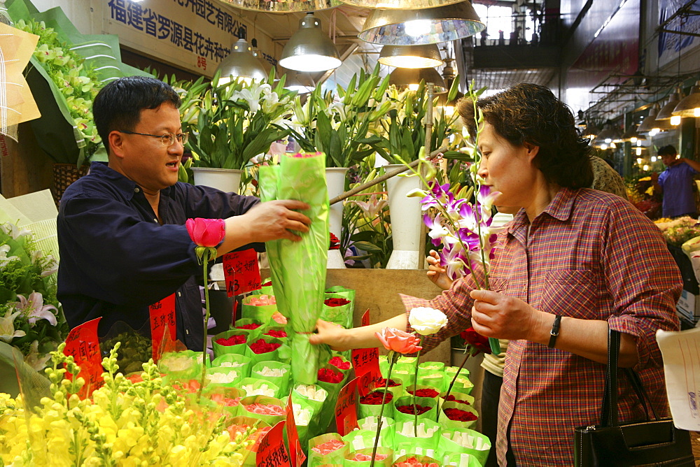 flower market, Wenhua Guangshan, near Shaanxi Nanlu, flowers, flower market, floral, rose, plant, old