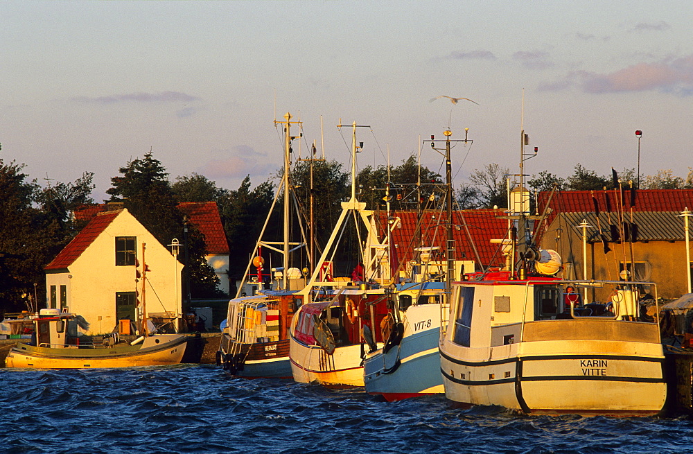 Europe, Germany, Mecklenburg-Western Pomerania, isle of Hiddensee, Vitte harbour