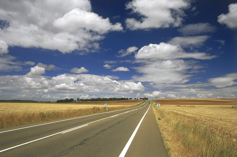 Corn field and road, near Castrotierra, Province Leon, Castilla-Leon, Spain136