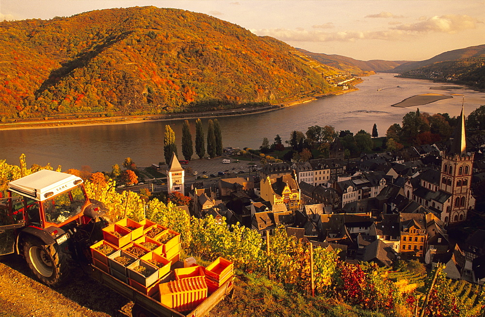 Europe, Germany, Rhineland-Palatinate, view upon Bacharach, Rhine