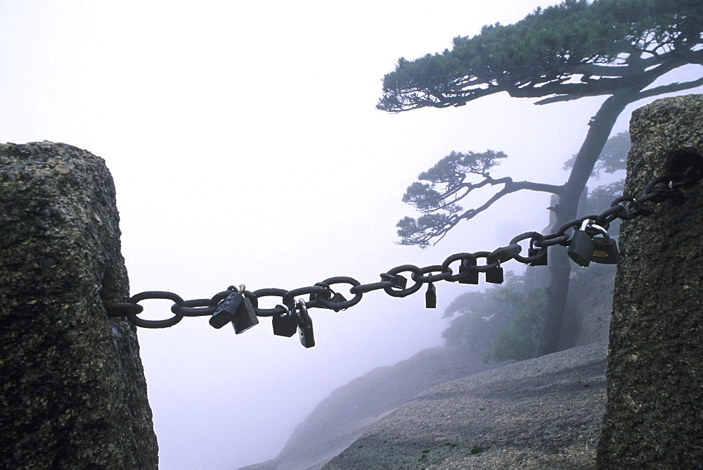 Padlocks on a chaine in front of sheer, Huang Shan, Anhui province, China, Asia