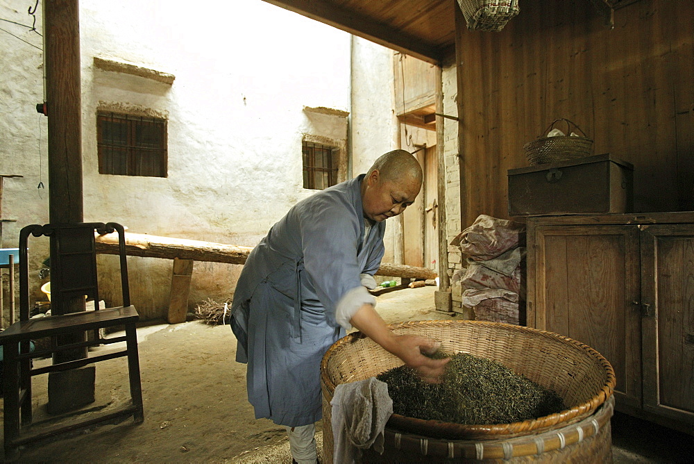 A nun drying tea leaves, nunnery at the village Minyuan, Jiuhua Shan, Anhui province, China, Asia