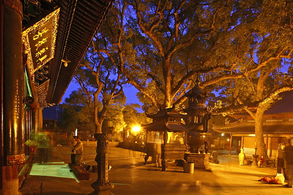 Puji Si Temple, ginko trees, pilgrims, Buddhist Island of Putuo Shan near Shanghai, Zhejiang Province, East China Sea, China, Asia