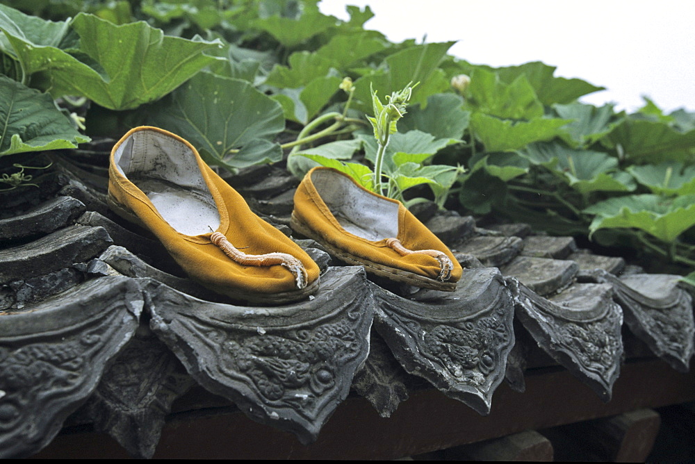 Shoes from a Shaolin monk drying on the roof of Shaolin Monastery, known for Shaolin boxing, Taoist Buddhist mountain, Song Shan, Henan province, China