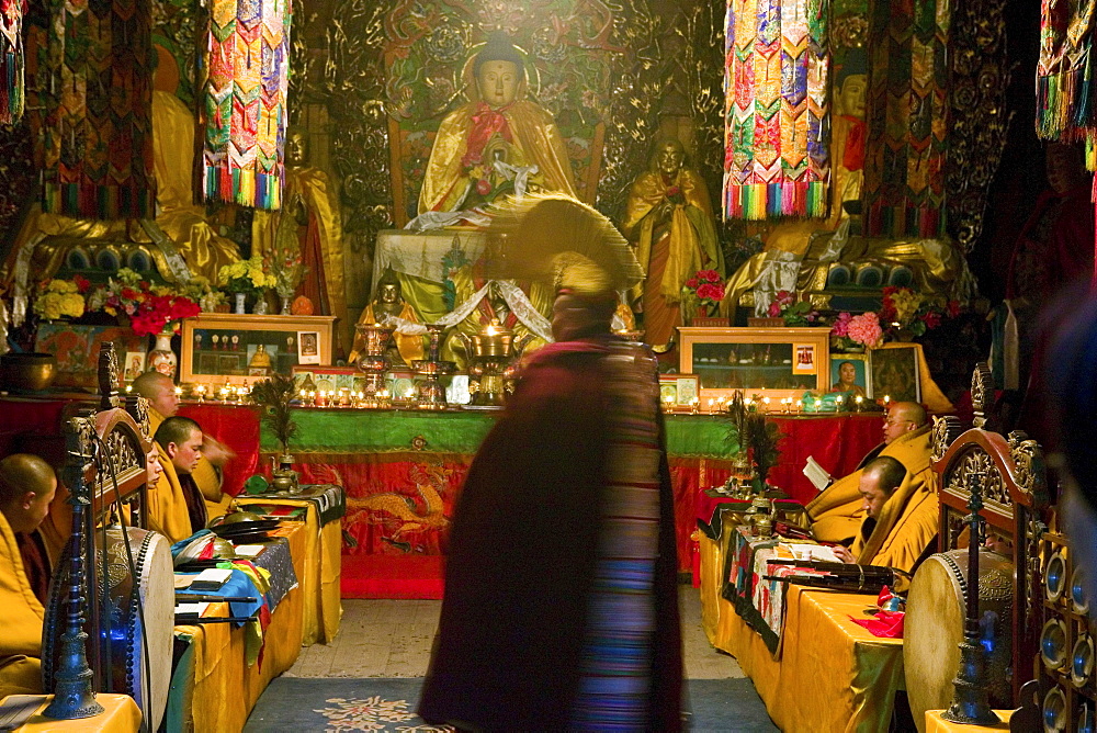 Monks in Pusa Ding temple at morning prayer, Yellow Hat sect of Tibetan Buddhism, Mount Wutai, Wutai Shan, Five Terrace Mountain, Buddhist Centre, town of Taihuai, Shanxi province, China