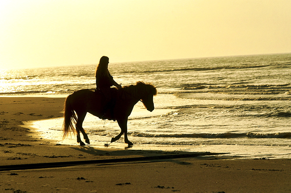 Riding on the beach, Norderney, East Frisia, Germany