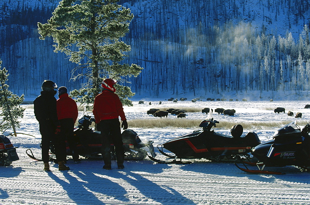 Snow mobile, Yellowstone National Park, Wyoming, USA