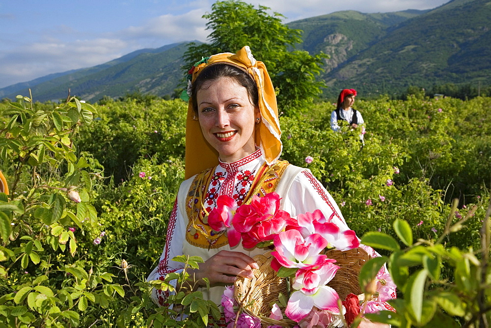 Rose picking girl, Rose Festival, Karlovo, Bulgaria, Europe