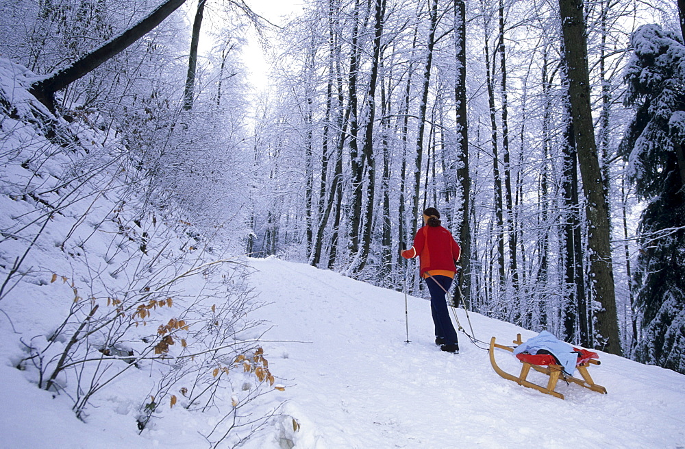 sledging at hut Gsohlalpe, Hohenems, Bregenzer Wald, Vorarlberg, Austria