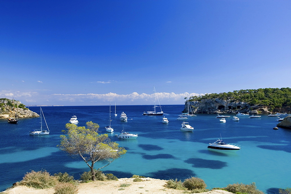 Portals Vells, sailing ships, Yachts, Majorca, Spain