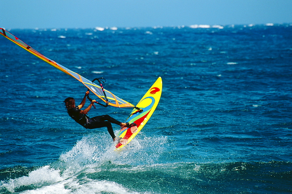 Windsurfer, El Medano, Tenerife, Canary Islands, Spain