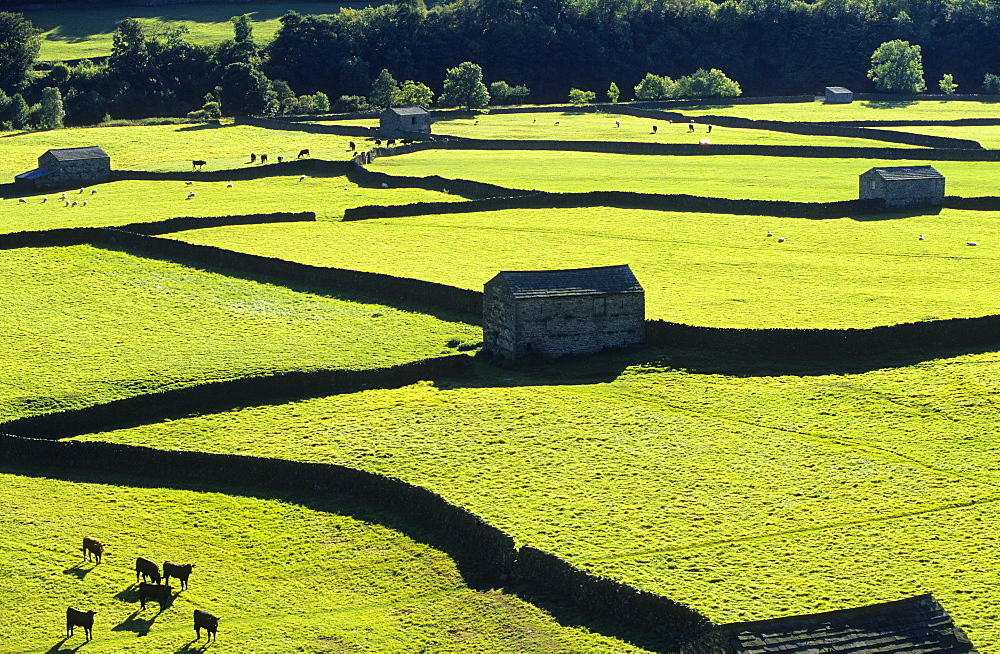 Europe, England, Yorkshire, North Yorkshire, Yorkshiredales