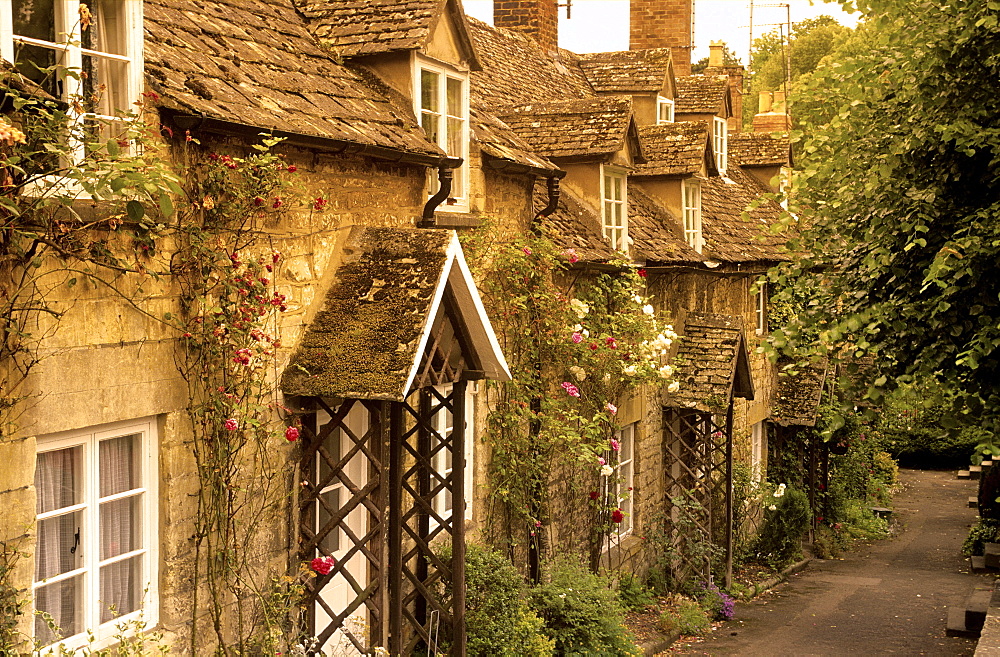 Europe, England, Gloucestershire, Cotswolds, Winchcombe, Vineyard Street