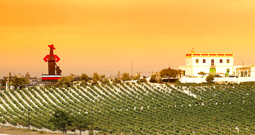 Finca, Tio Pepe, Jerez la Frontera, Andalusia, Spain