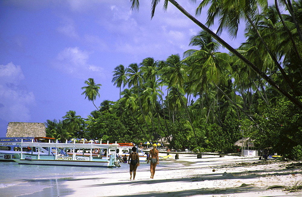 Palm trees, Dream beach, Pigeon Point, Tobago