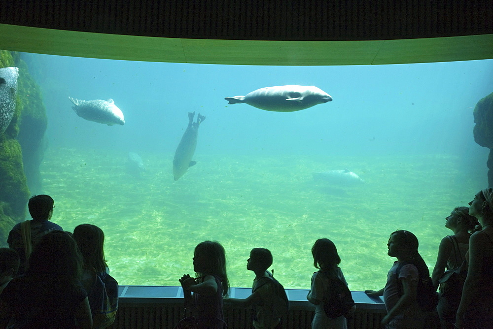 L'Oceanografic, Valencia, Spain