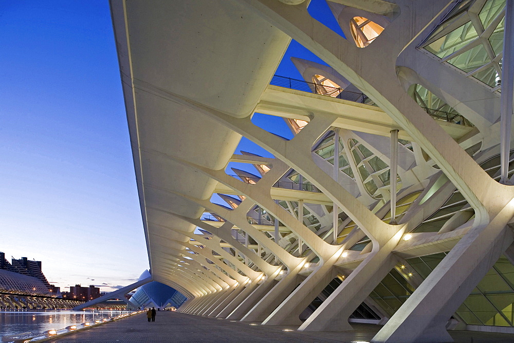 City of Arts and Sciences, Science Museum, Valencia, Spain