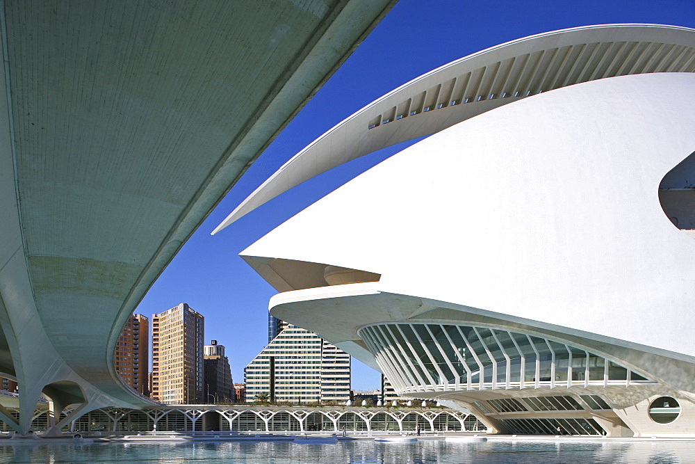 City of Arts and Sciences, Ciudad de las Artes y las Ciencias, Valencia, Spain