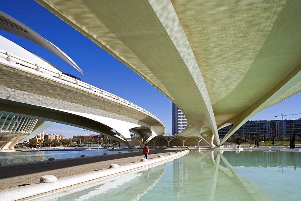 City of Arts and Sciences, Ciudad de las Artes y las Ciencias, architect Calatrava, Valencia, Spain