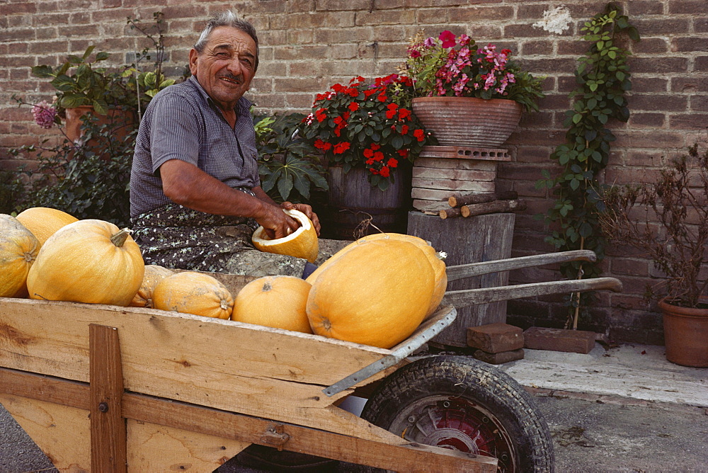 Farmer with pumkins, Chiusure bei Asciano, Tuscany, Italy