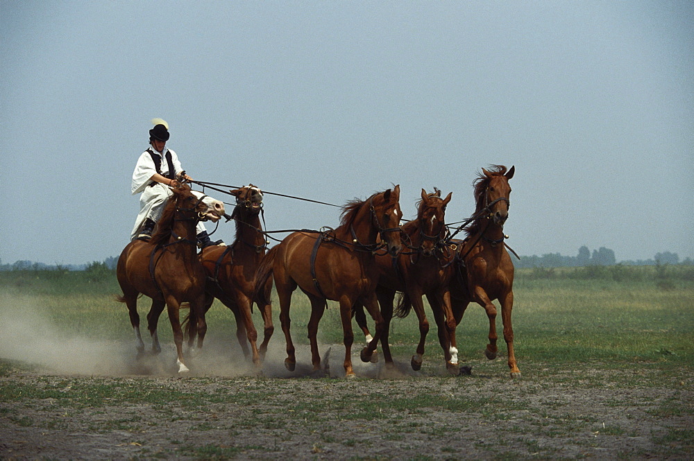 Horse riding event, Bugac, Puszta, Hungary