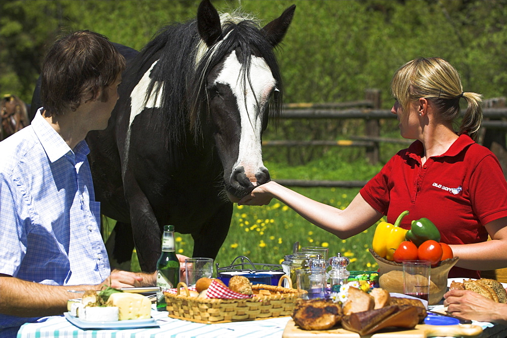 Paar mit Pferd beim Mittagstisch im Freien