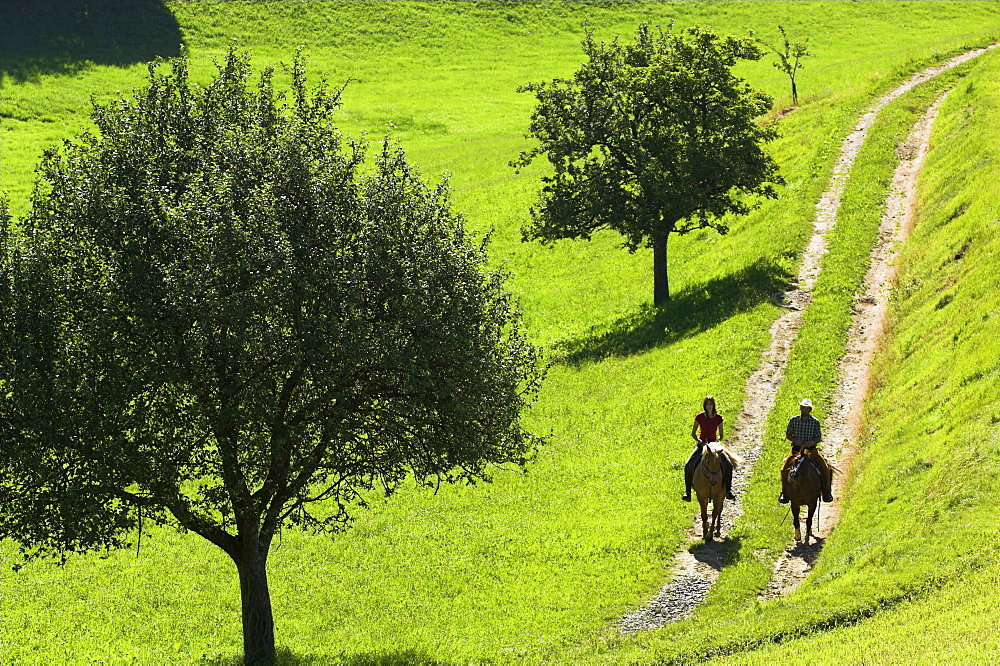 zwei reiter im schritt auf einem feldweg in der morgenstimmung